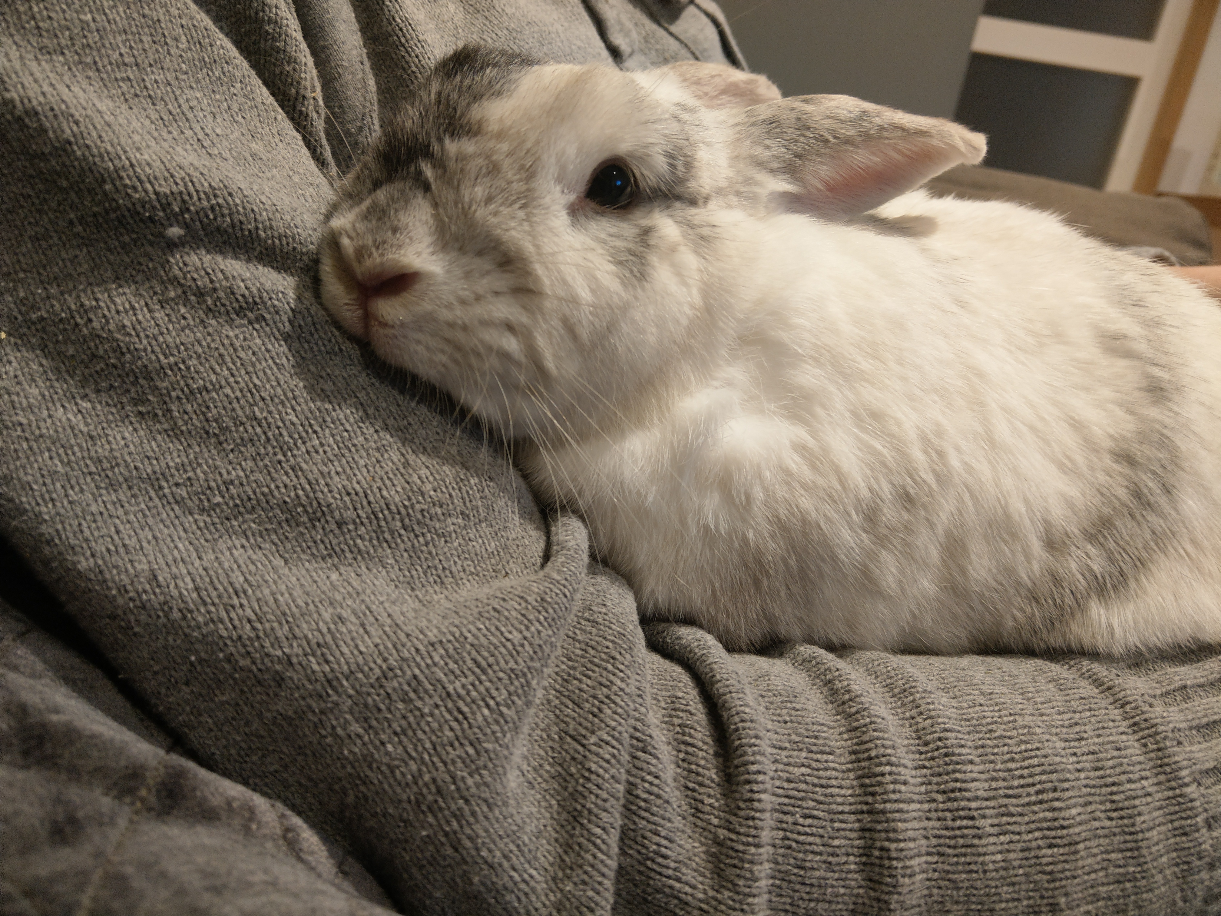 Stress and depression killed my creativity